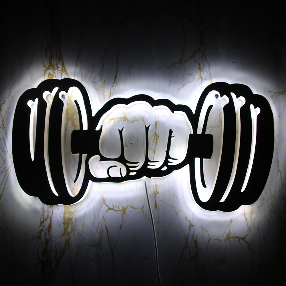 Dumbbells Strength LED Wall Li - Home Gym Dumbbell Workout 评论和价格