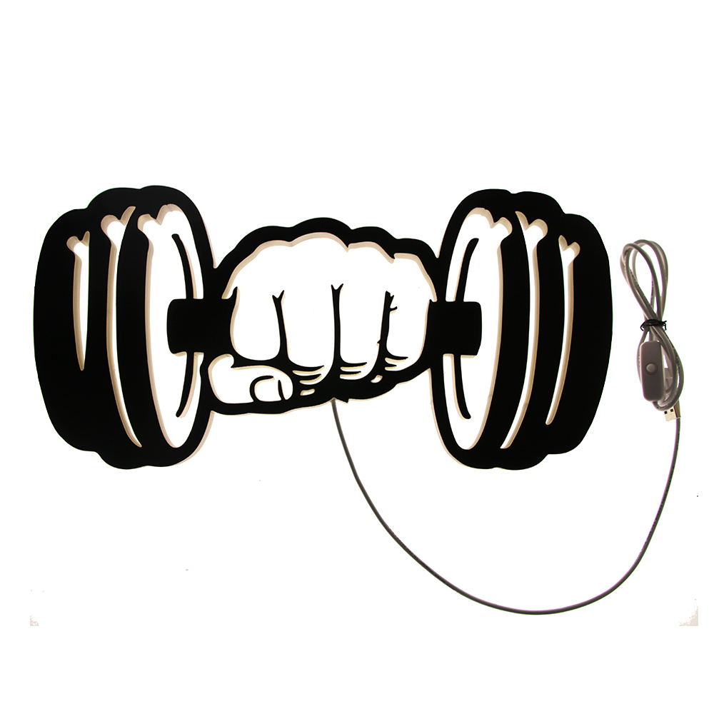 Dumbbells Strength LED Wall Li - Home Gym Dumbbell Workout 评论和价格