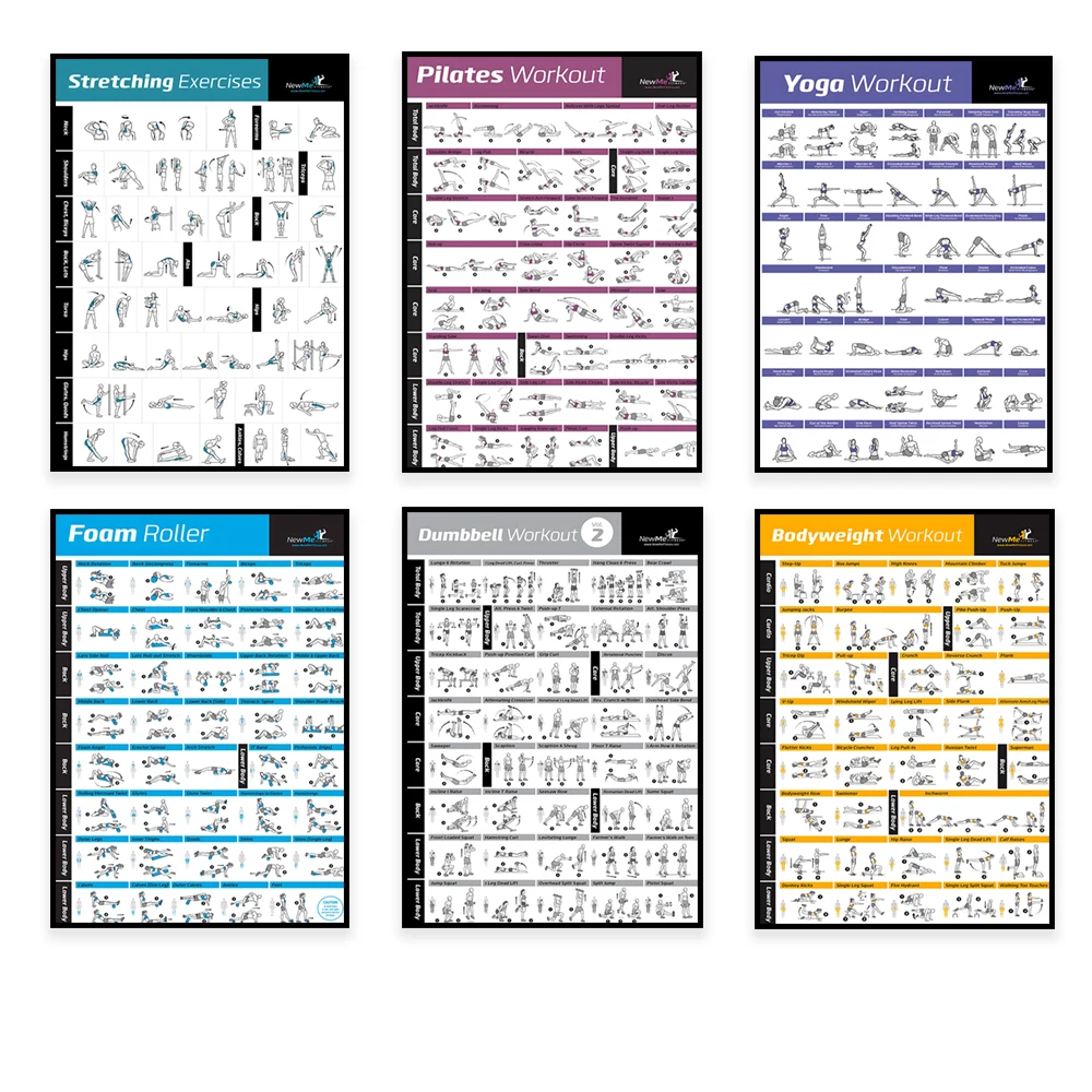 Body Exercise Training Chart W - Home Gym Aesthetic 评论和价格
