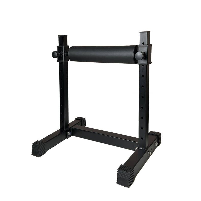 Adjustable Single Leg Squat St - Home Gym Designs 评论和价格