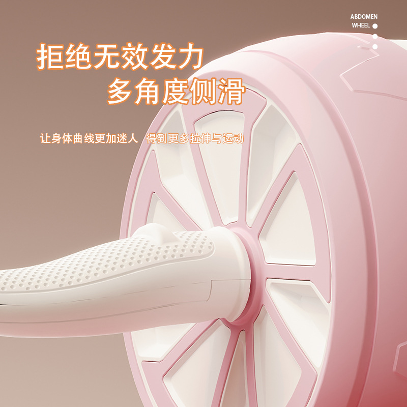 Quiet AB Wheel Roller Home Gym - Home Gym Second 评论和价格