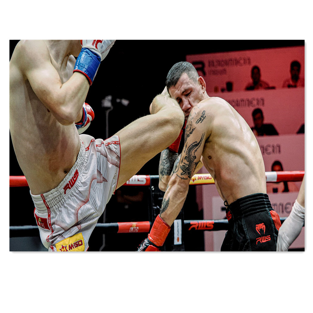 Muay Thai Stadium Canvas Paint - Home Gym Wallpaper 评论和价格