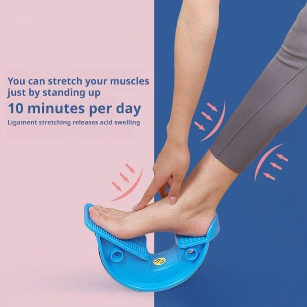 Enhanced Flexibility Calf Stre - Seated Calf Raise 评论和价格