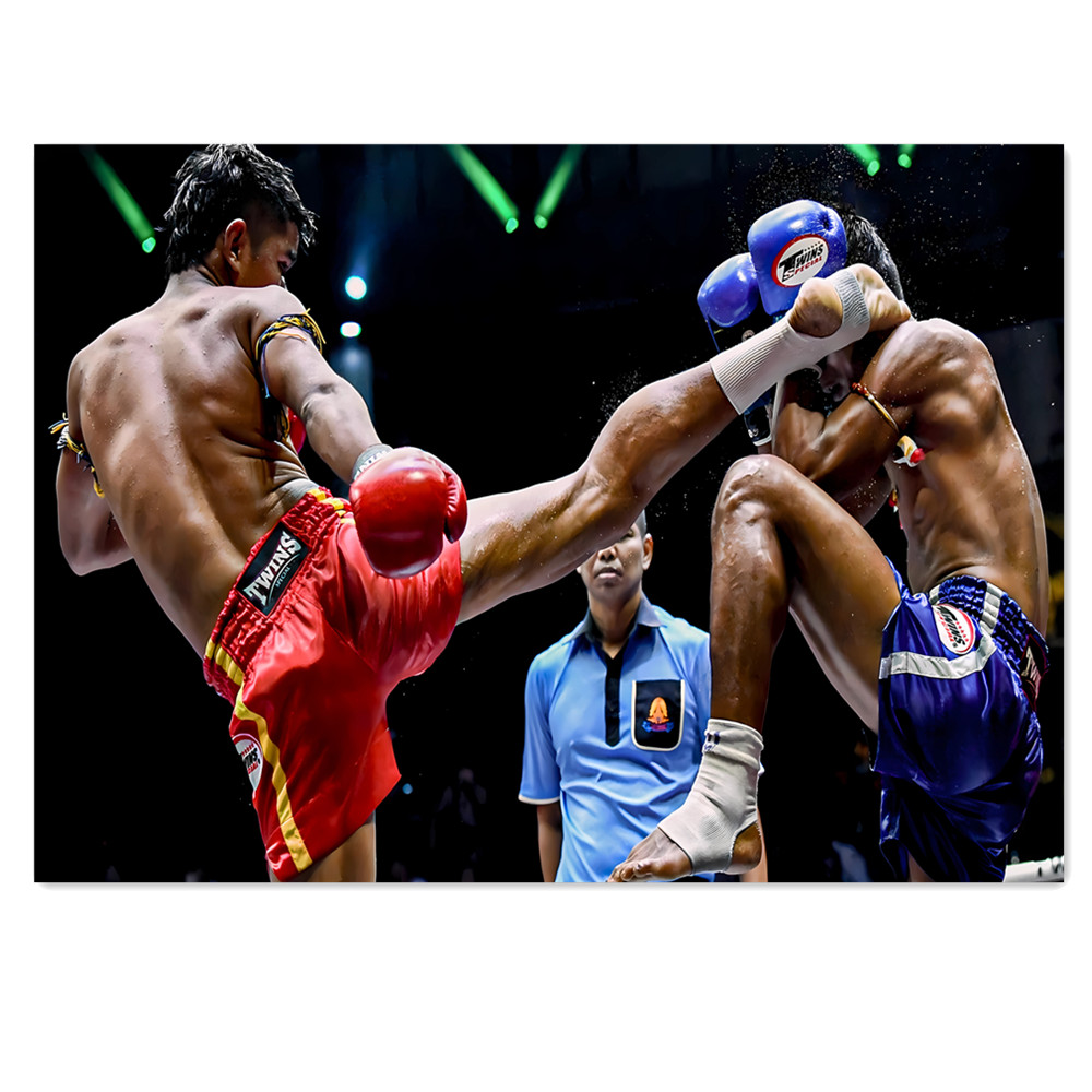 Muay Thai Kick Canvas Painting - Home Gym Wallpaper 评论和价格