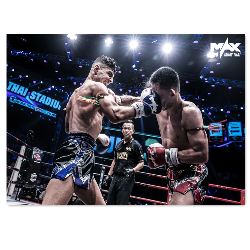 Watercolor Boxing Canvas Paint - Home Gym Wallpaper 评论和价格