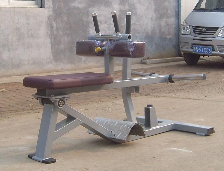 Commercial Gym Equipment Machi - Seated Calf Raise 评论和价格