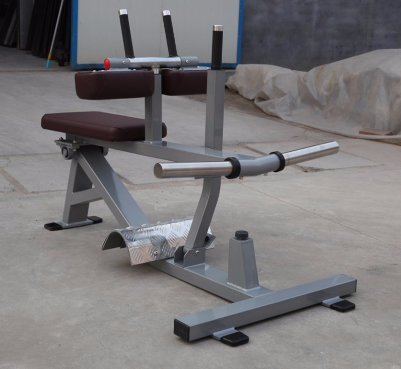 Commercial Gym Equipment Machi - Seated Calf Raise 评论和价格
