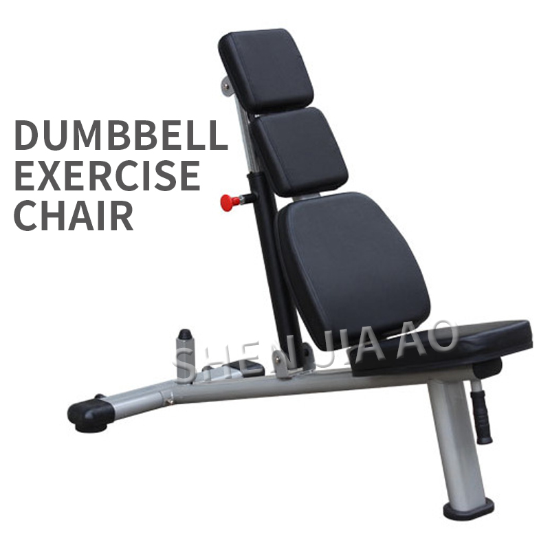 Commercial Dumbbell Bench Gym  - Home Gym Build 评论和价格