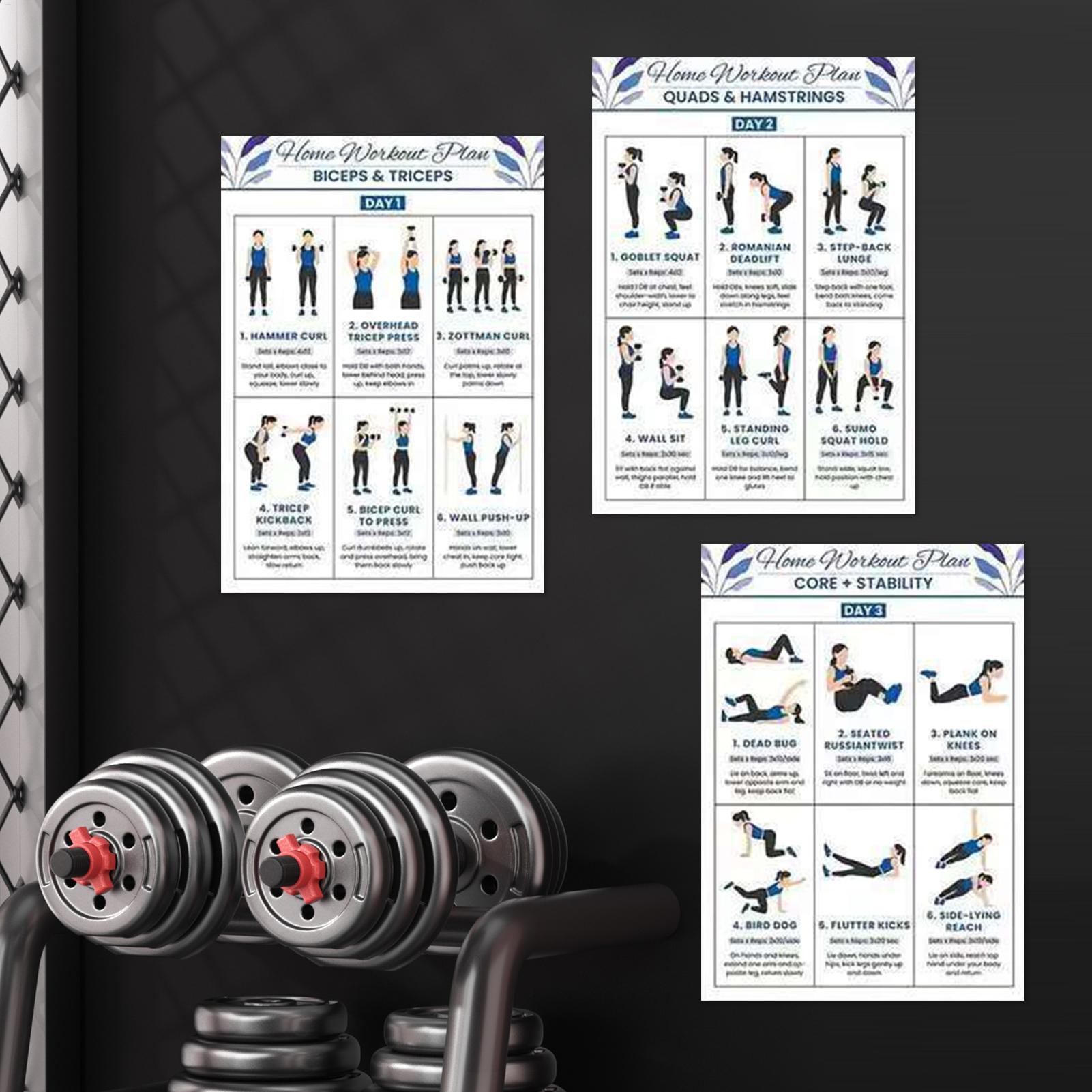 6pcs Yoga Dumbbell Stretching  - Home Gym Dumbbell Workout 评论和价格